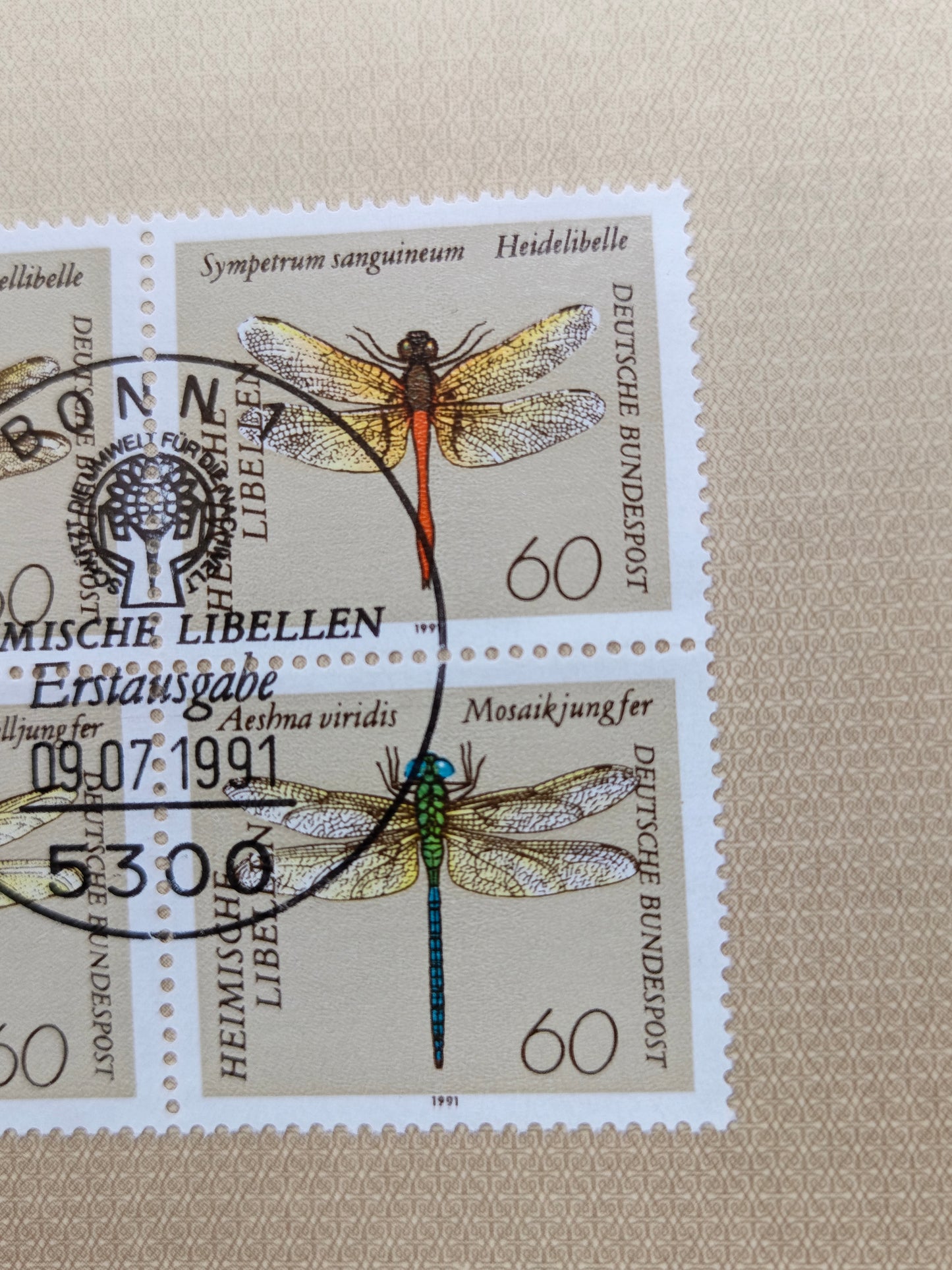Nature’s Precision: The "Heimische Libellen" Collection