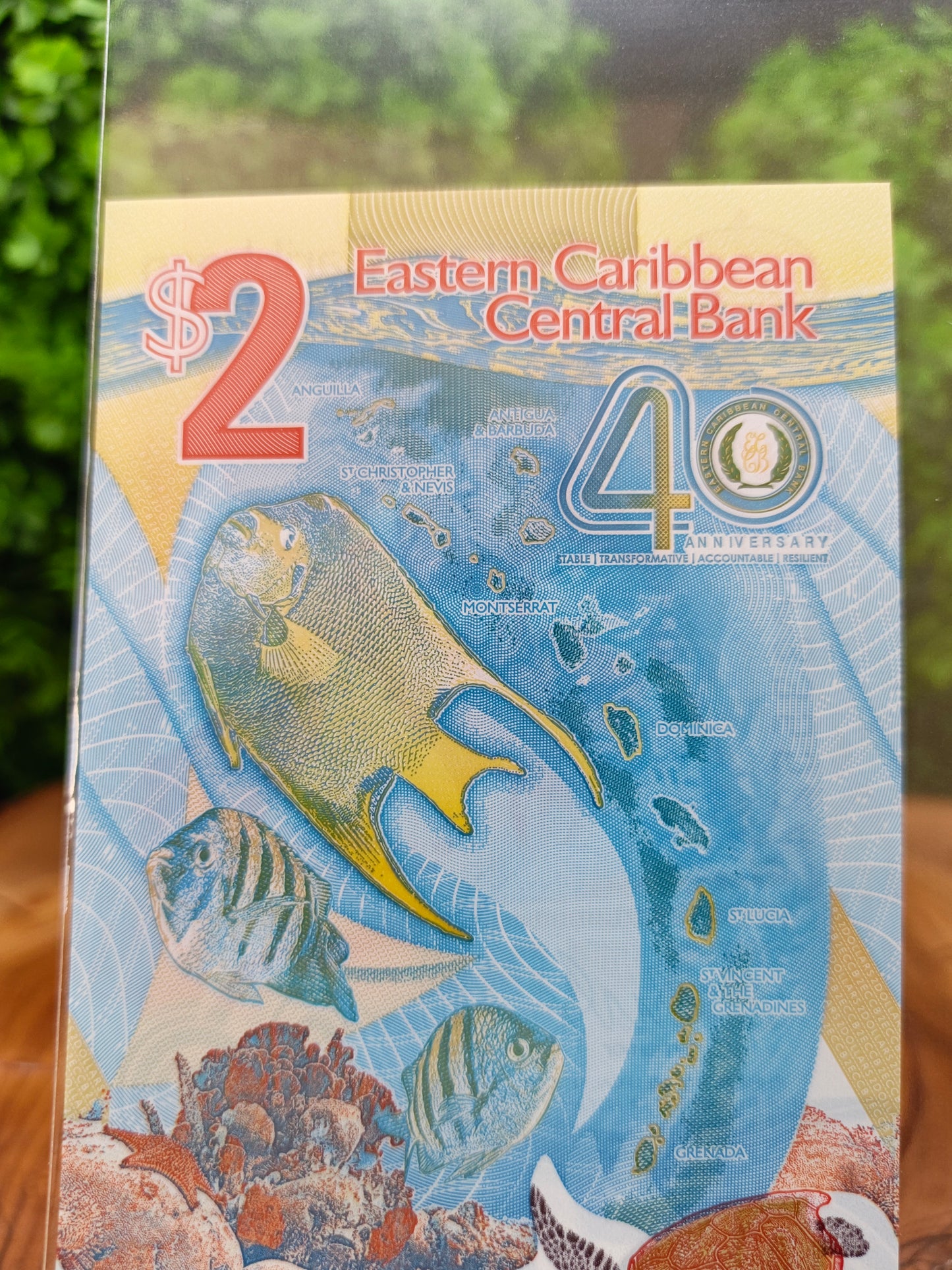 2 dollar eastern Caribbean . 2023