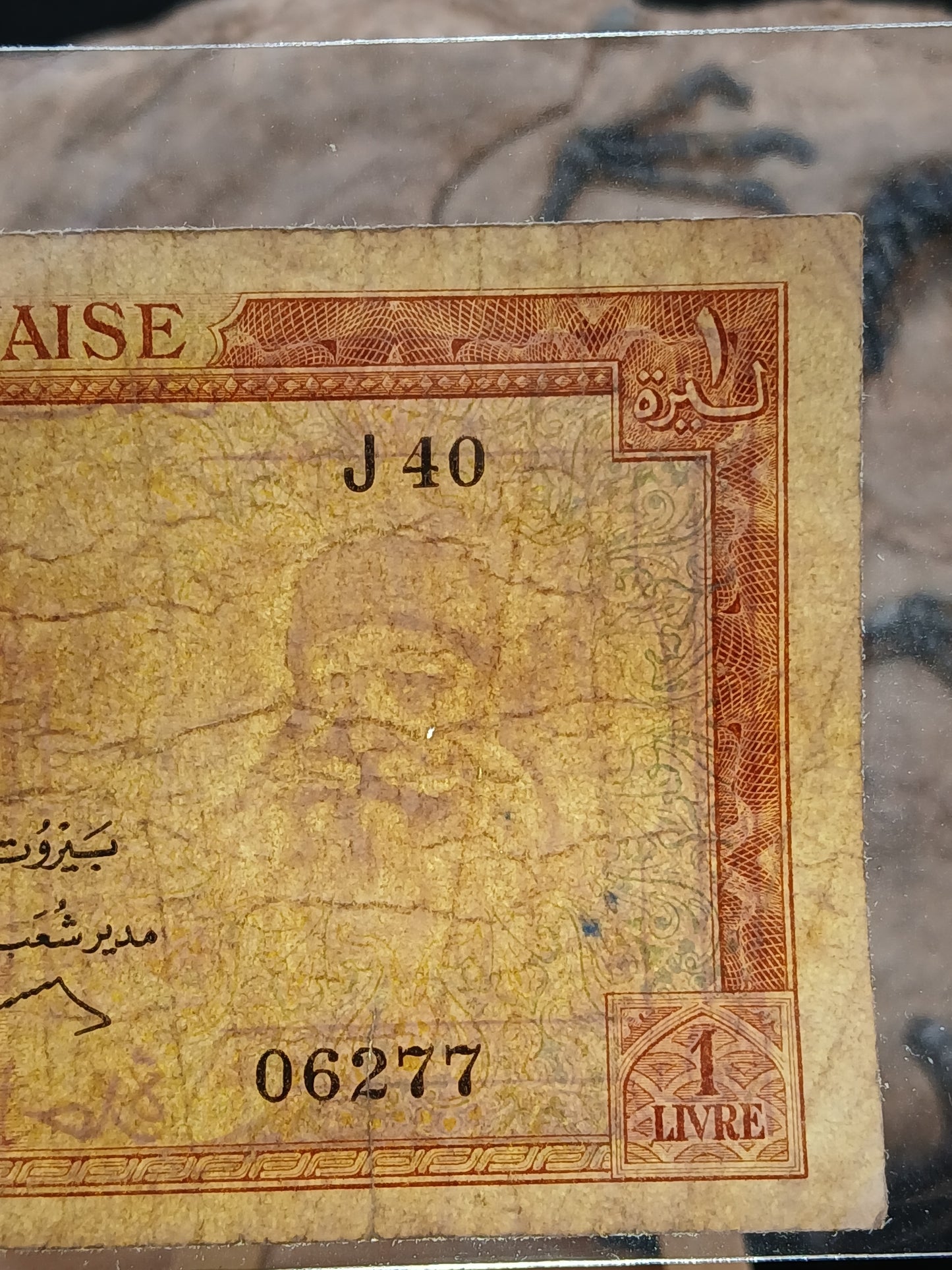 1 liver . Lebanon. 1960