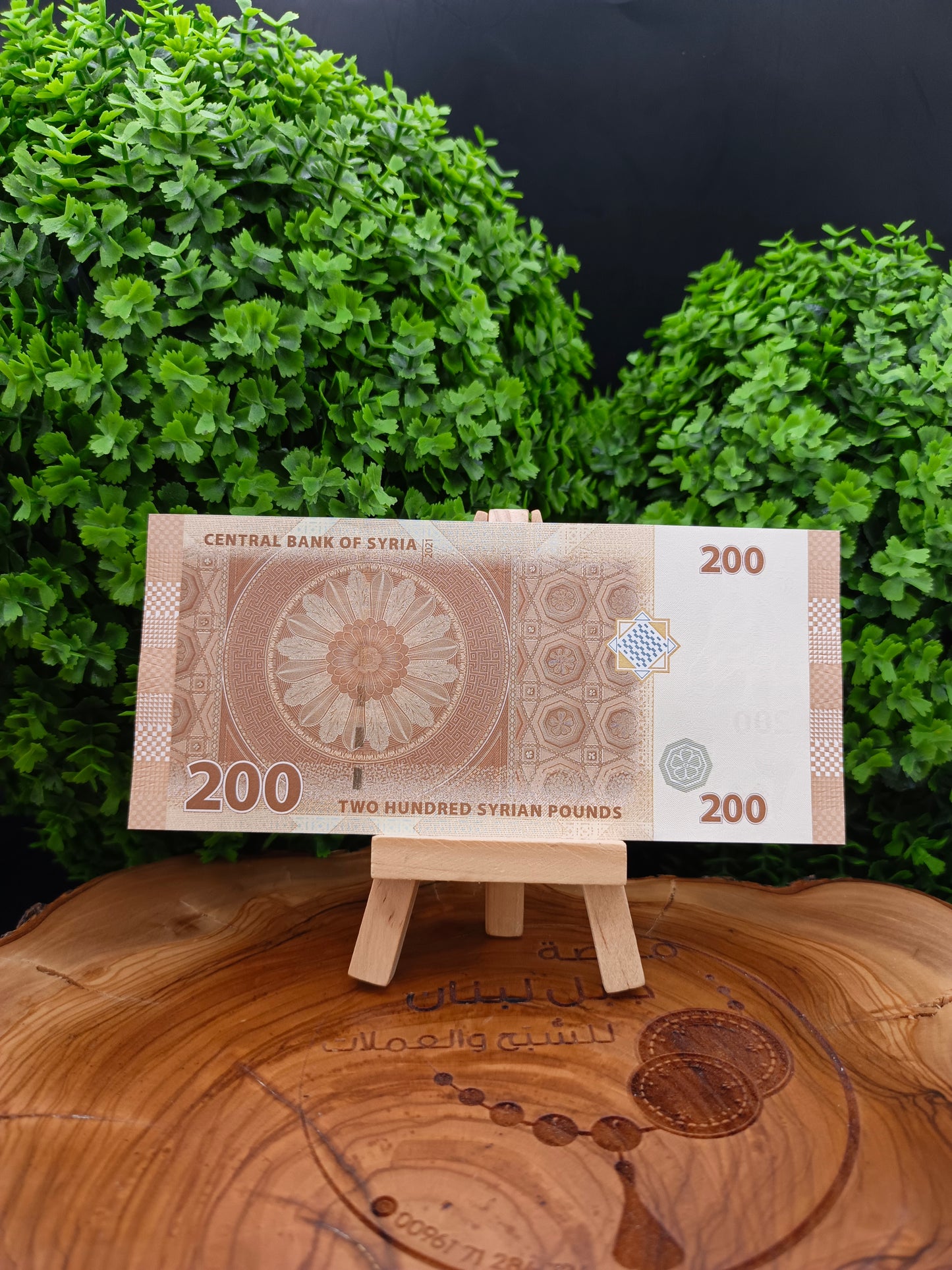 3 Syrian banknotes 2021 ( Last 3 matching digits )