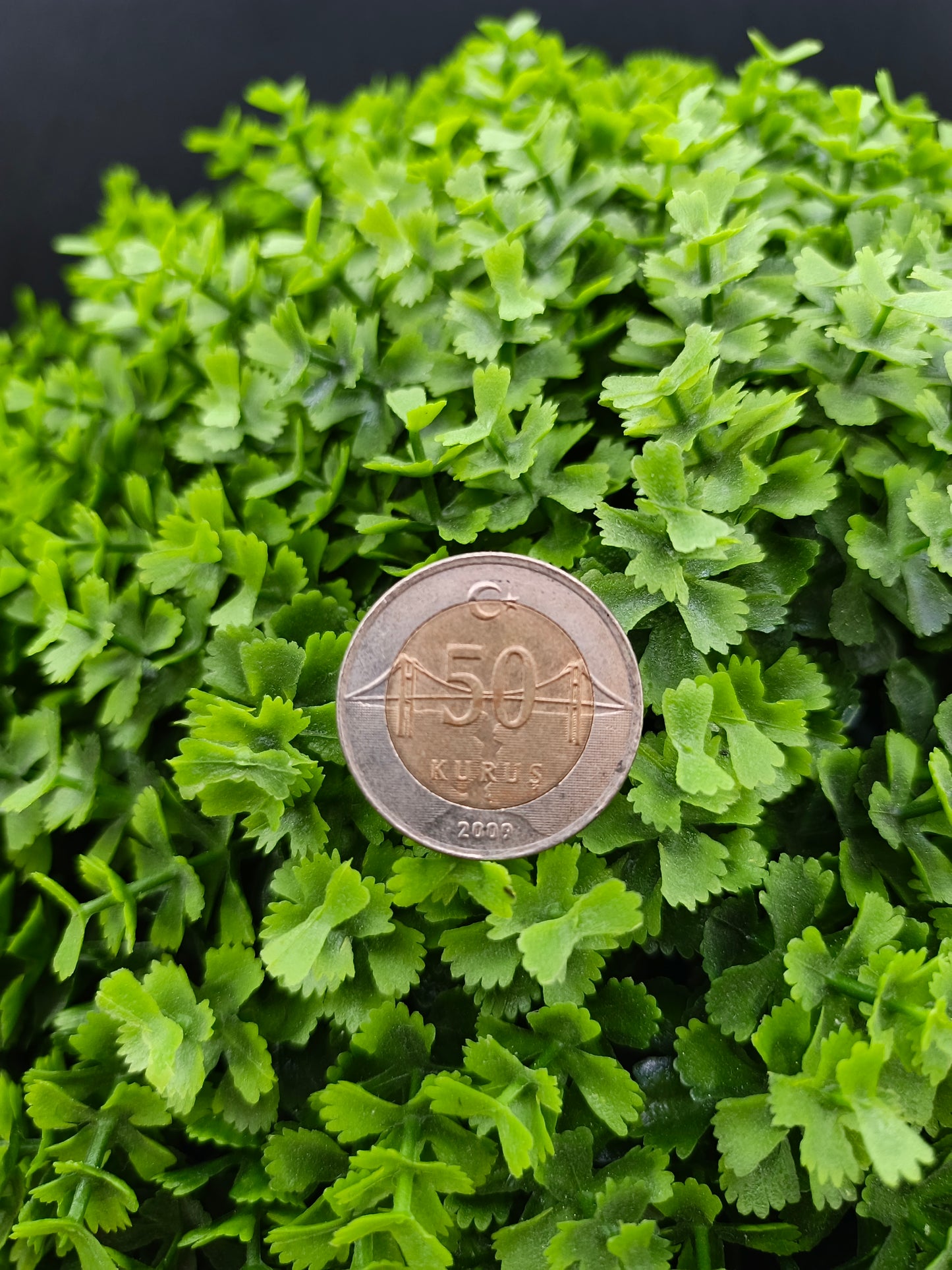 1 lira & 50 kurus . Turkey . 2009