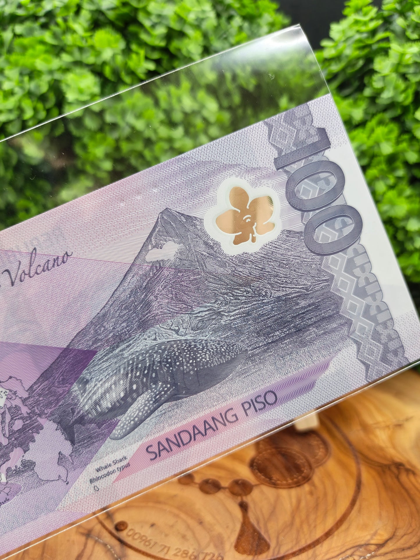 100 piso . Philippines . 2024