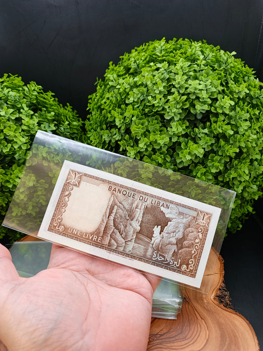 25 nilon cover for banknotes