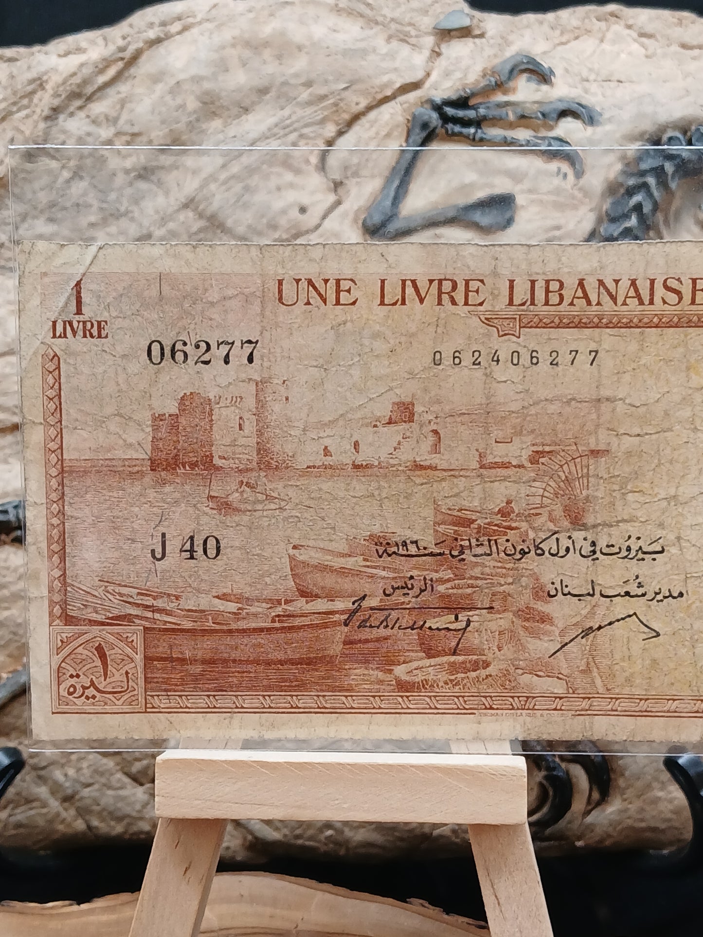 1 liver . Lebanon.  1960