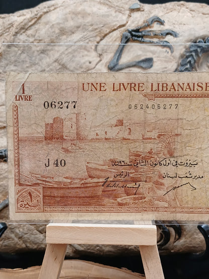 1 liver . Lebanon.  1960