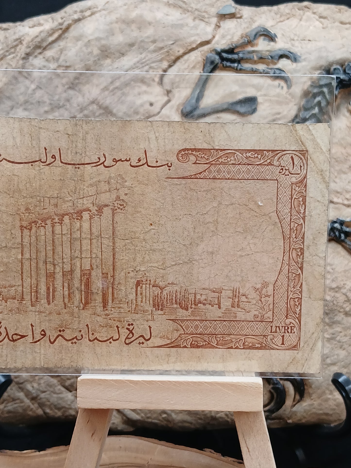 1 liver . Lebanon.  1960