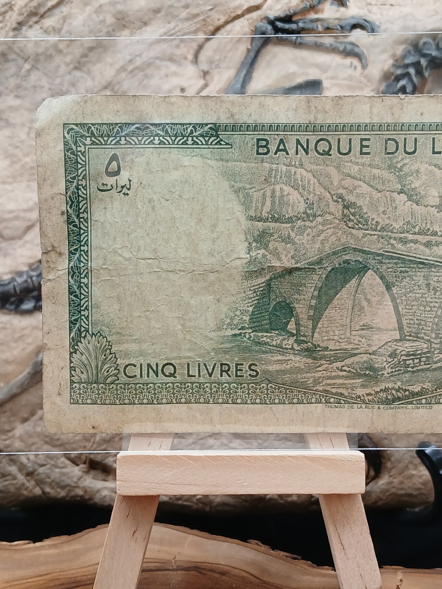 5 Lebanese livers . 1967