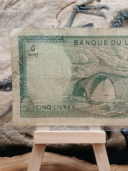 5 Lebanese livers . 1967