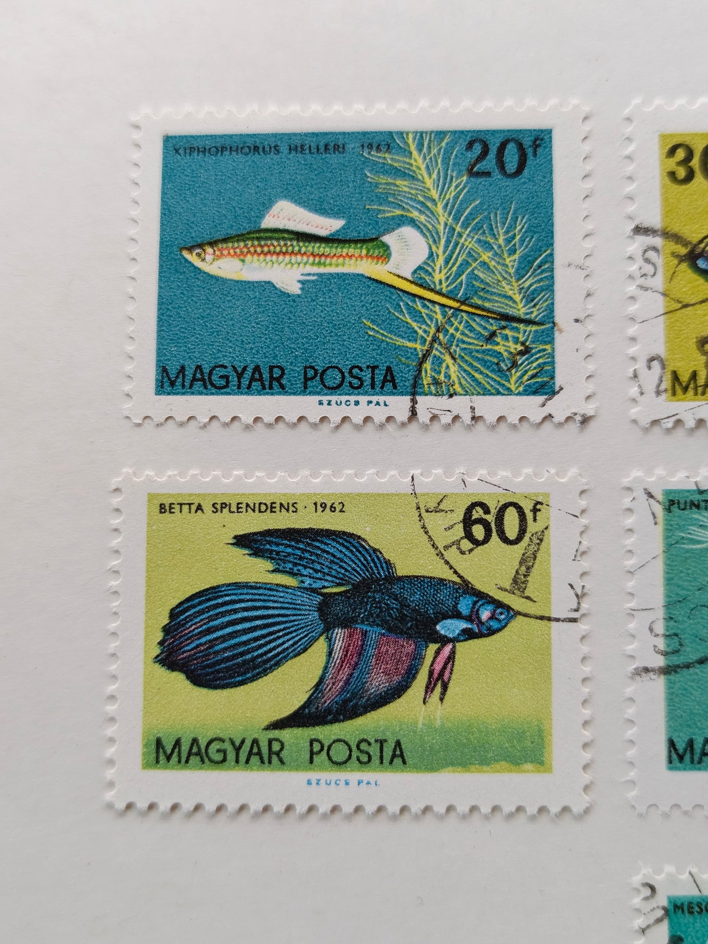 1962 Hungary Tropical Aquarium Fish Stamp Set