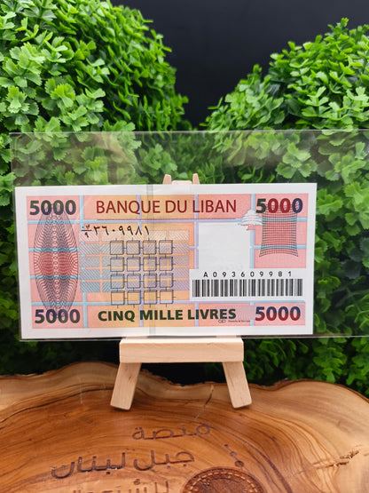 5000 lira . lebanon 2008