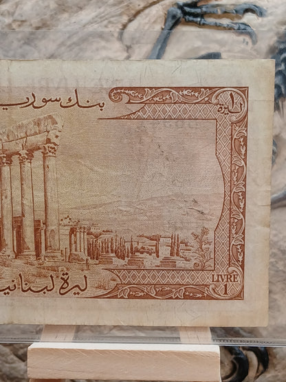 1 liver.  Lebanon.  1963