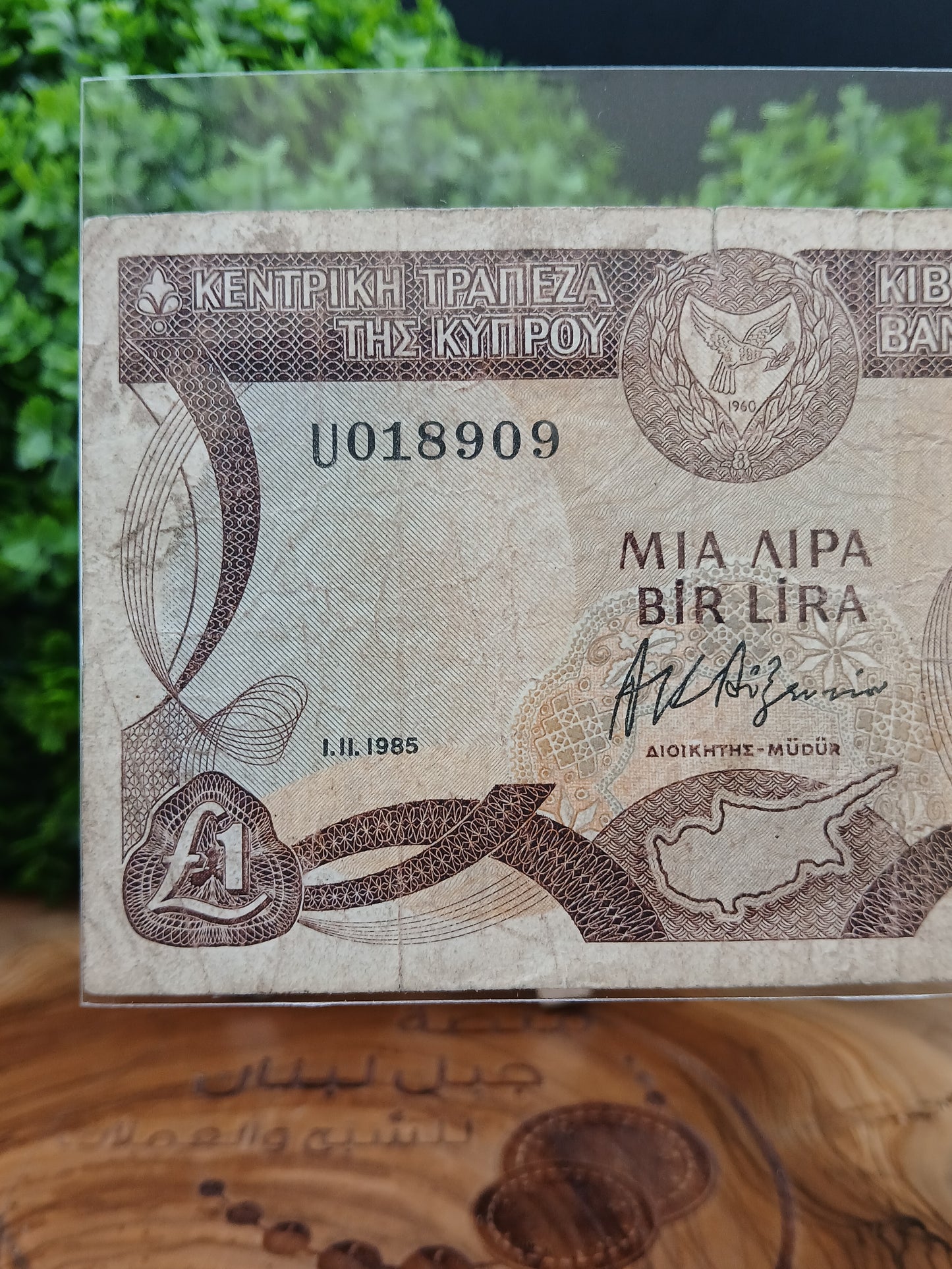 1 lira . Cyprus 1985