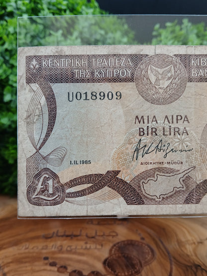 1 lira . Cyprus 1985