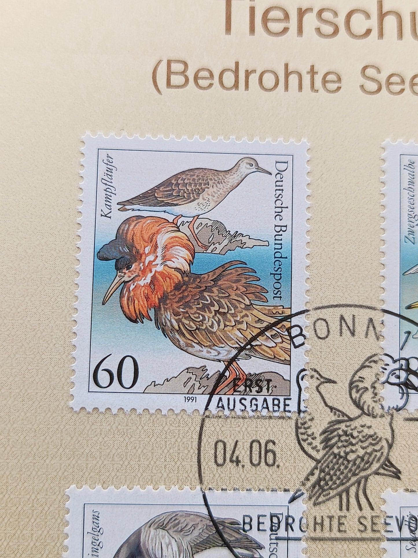Guardians of the Coast: Threatened Sea Birds