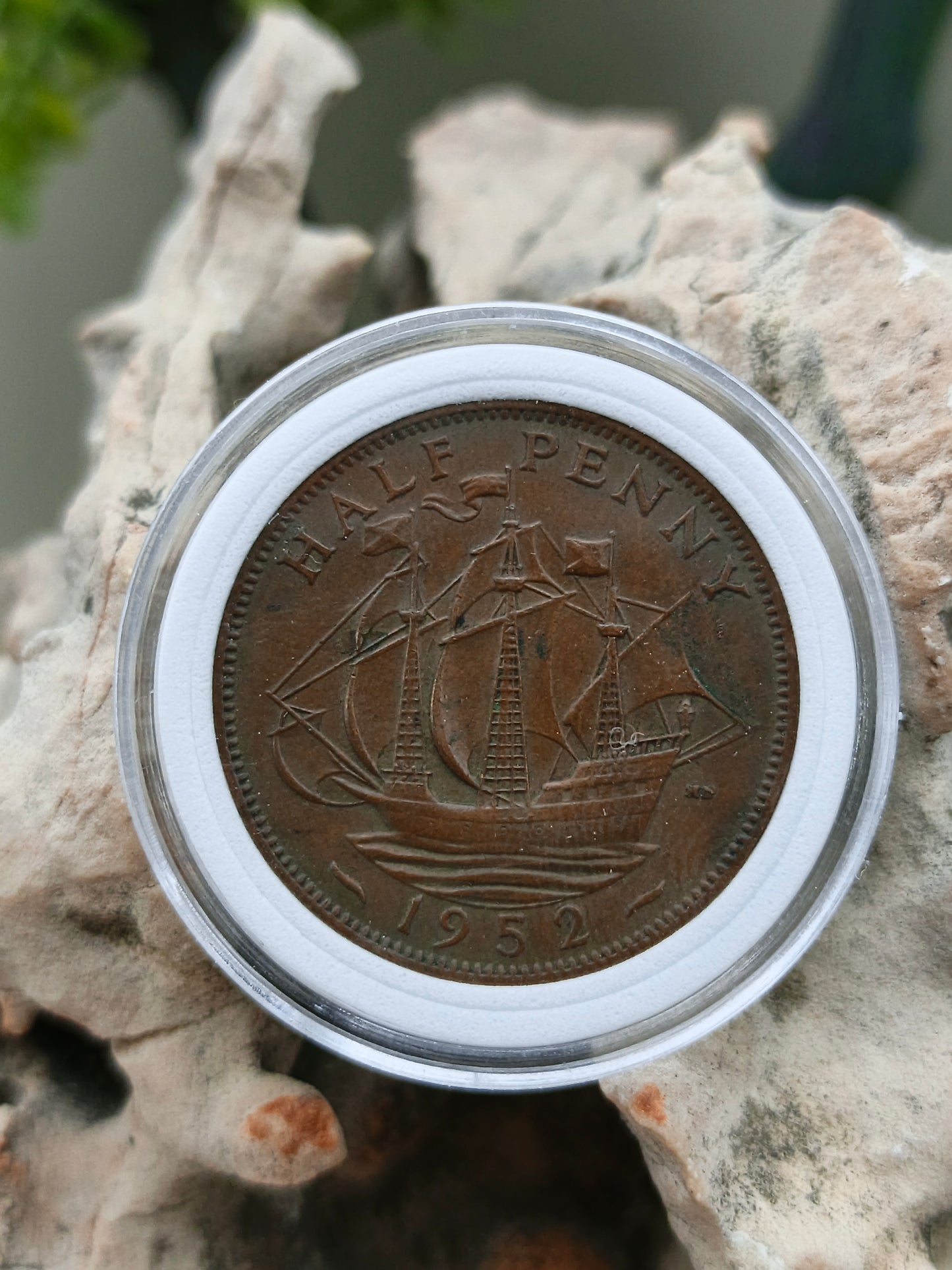 Half penny . Great Britain (United Kingdom) . 1952