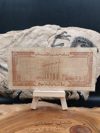 1 liver . Lebanon.  1960