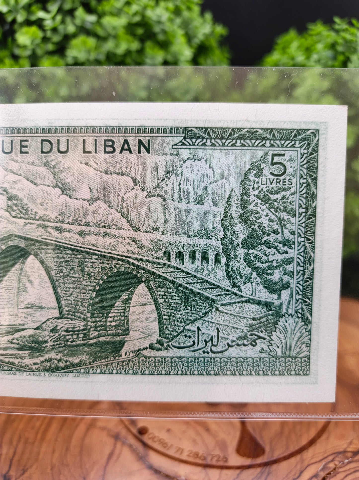 5 lira . Lebanon. 1964 (first issue)