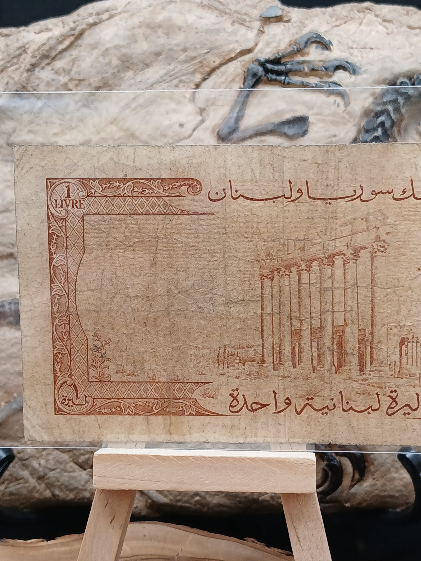 1 liver . Lebanon.  1960