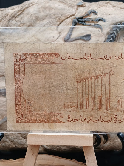 1 liver . Lebanon.  1960