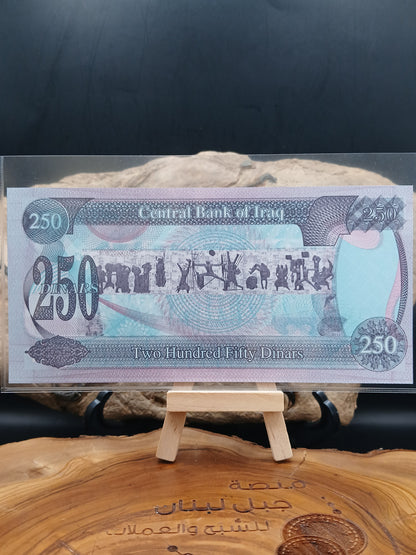 250 dinars . Iraq . 1995