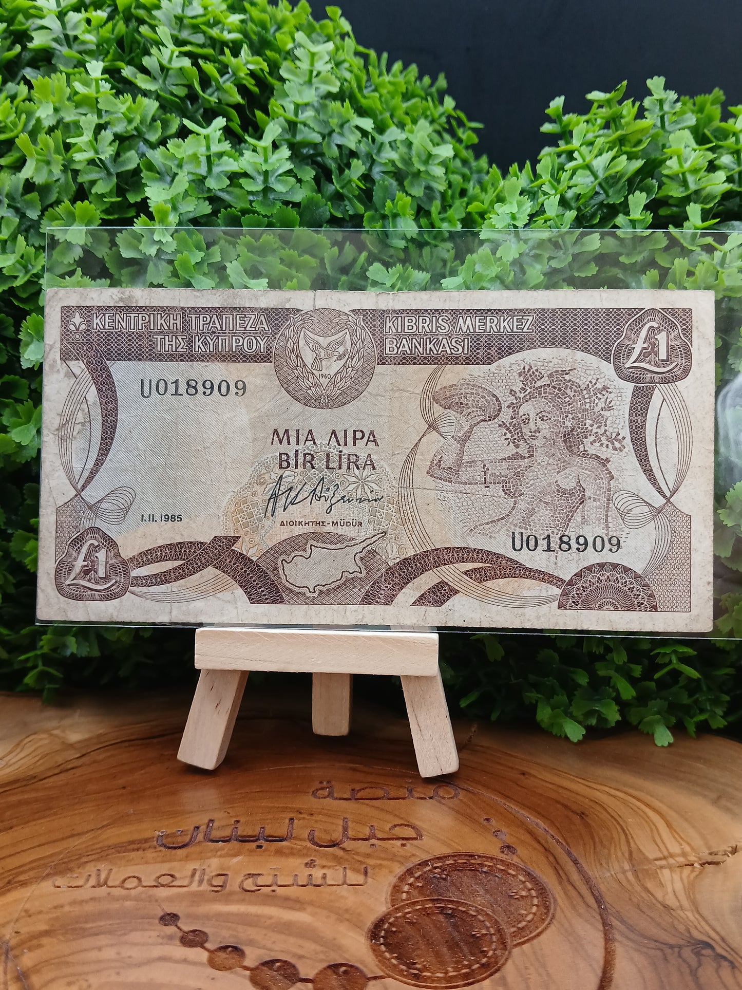 1 lira . Cyprus 1985