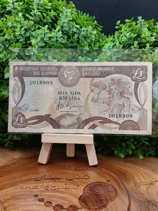 1 lira . Cyprus 1985
