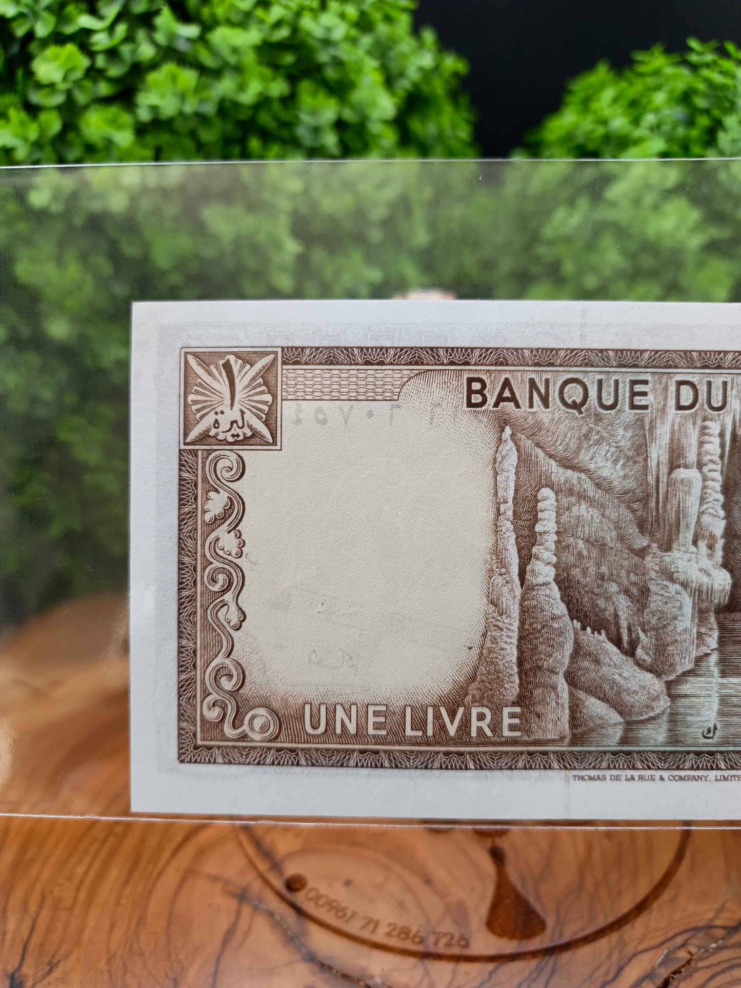 1 lira . lebanon. 1973