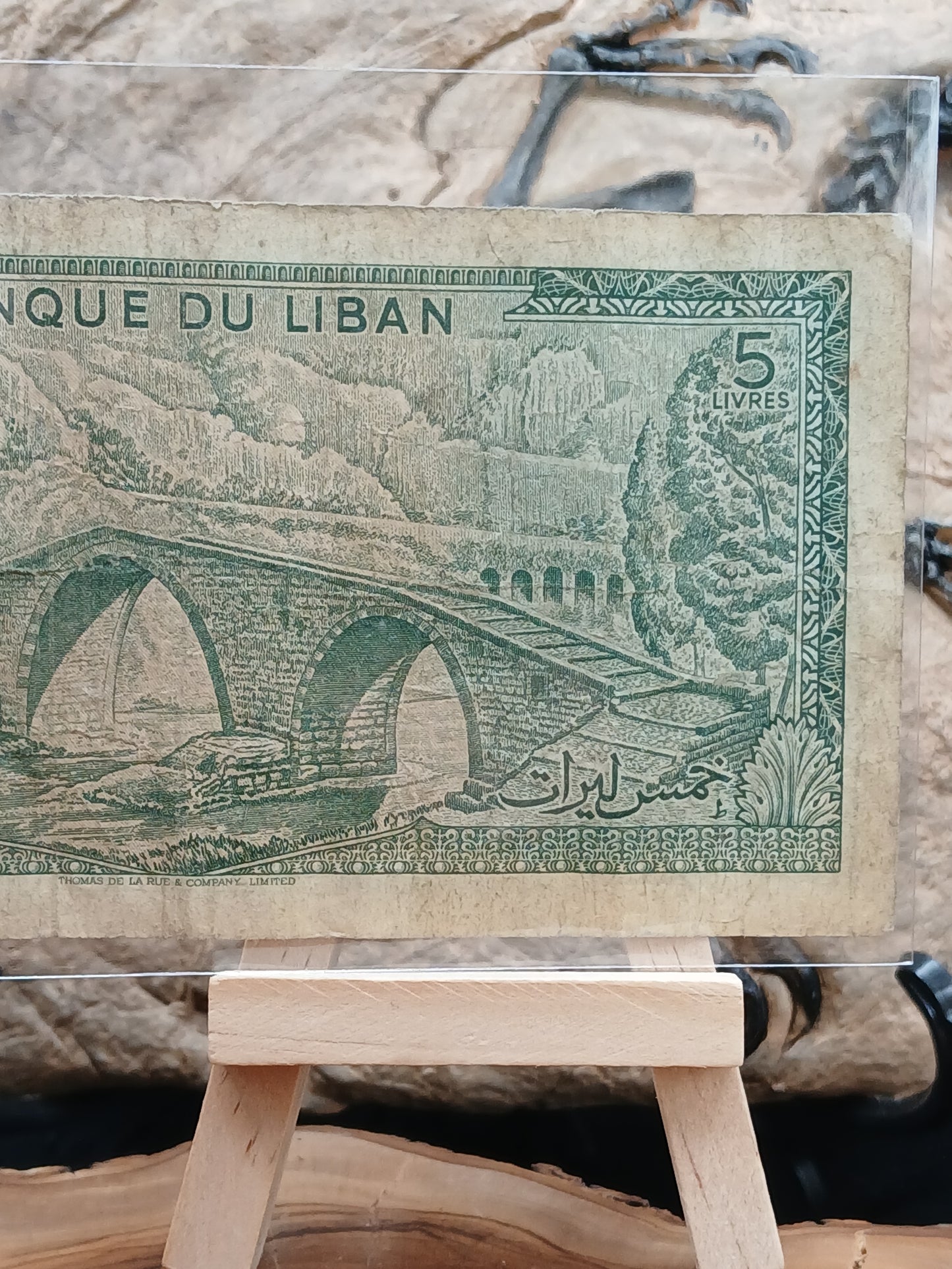5 Lebanese livers . 1967