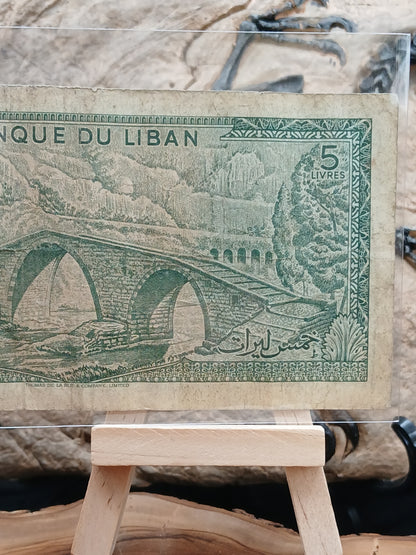 5 Lebanese livers . 1967