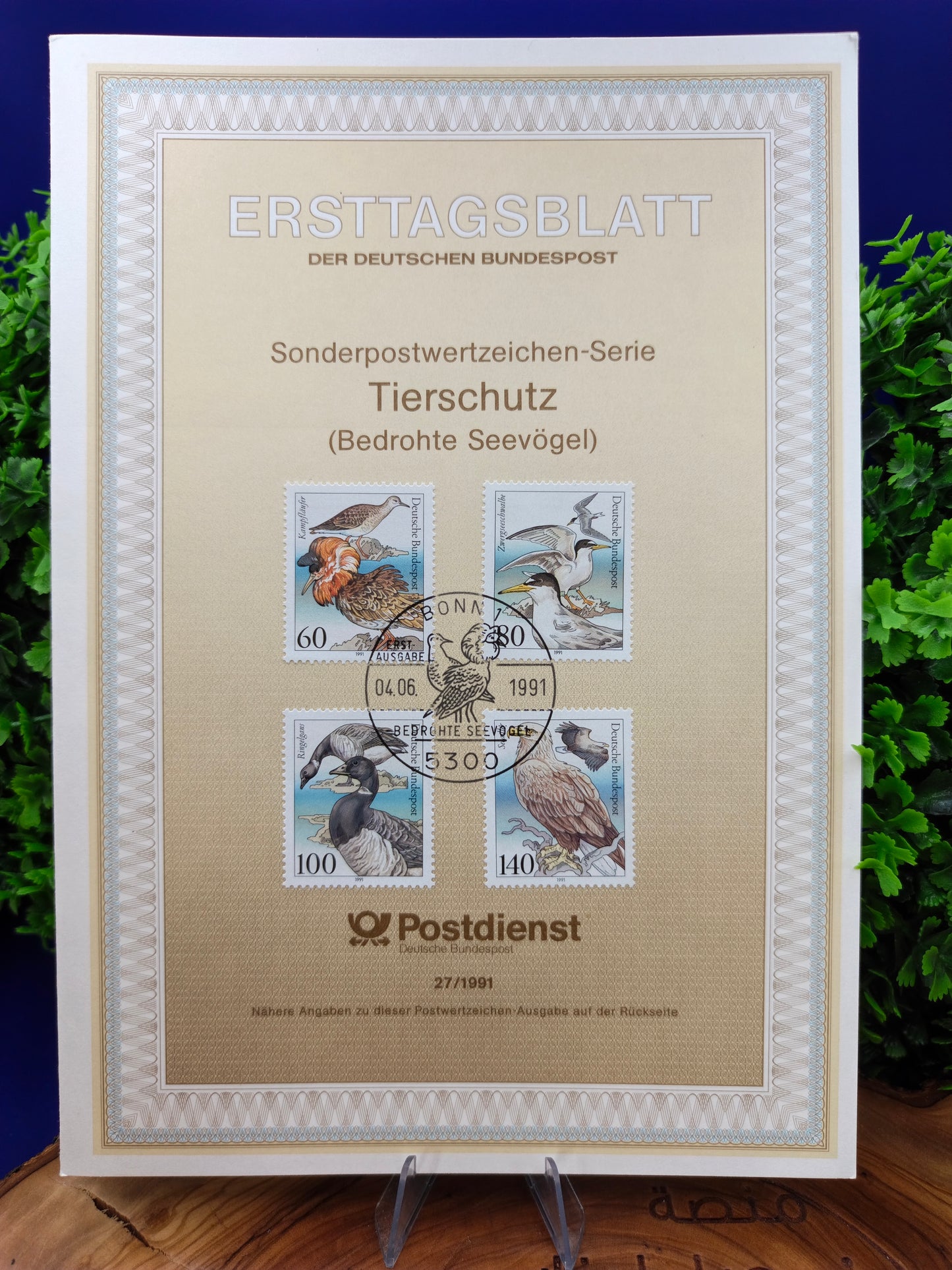 Guardians of the Coast: Threatened Sea Birds