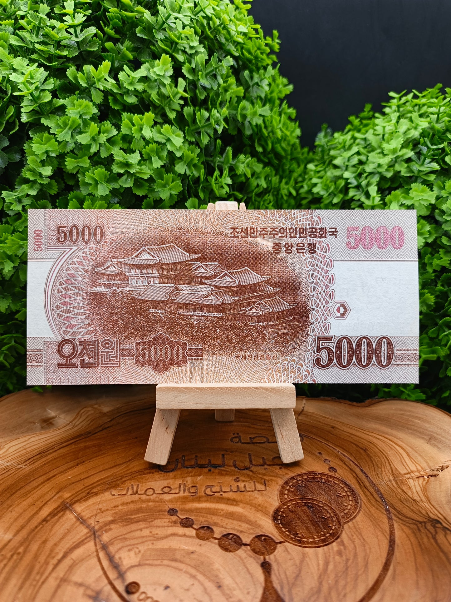 5 - 10 - 50 - 100 - 200 - 500 - 1000 - 2000 - 5000 won . North Korea . (2002_2008)