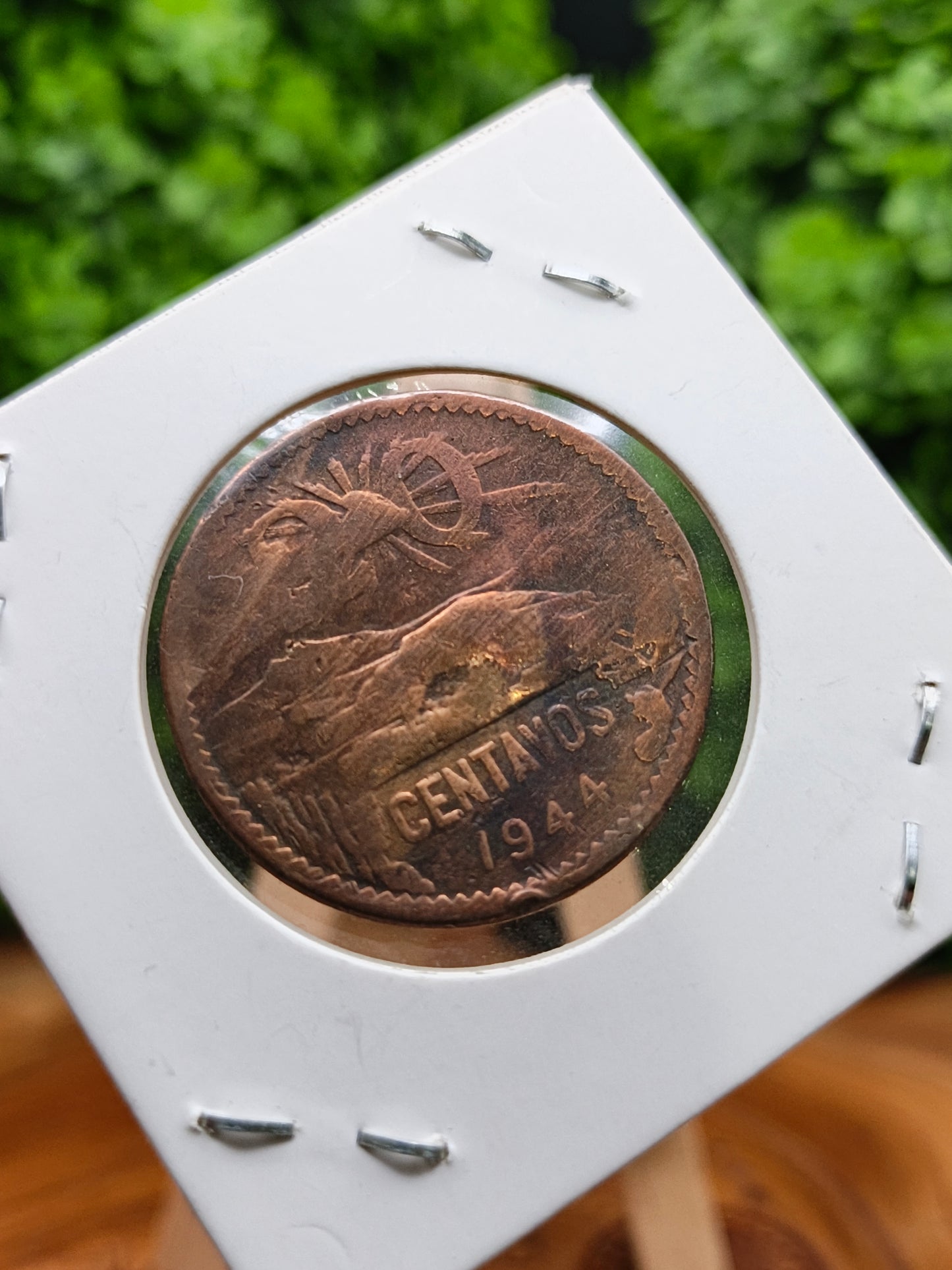 20 Centavos . Mexico . 1944