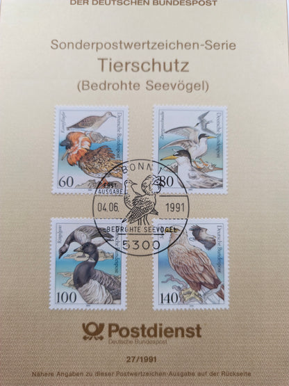 Guardians of the Coast: Threatened Sea Birds