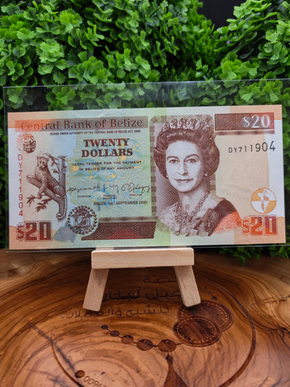 20 dollars . Belize . 2020