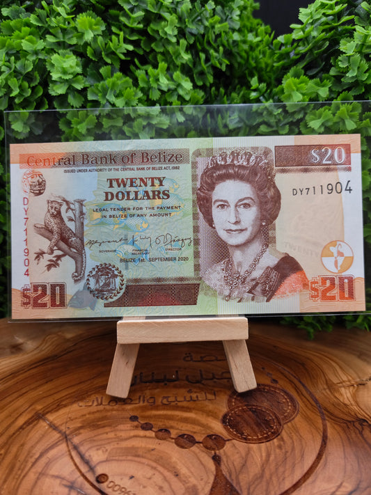 20 dollars . Belize . 2020