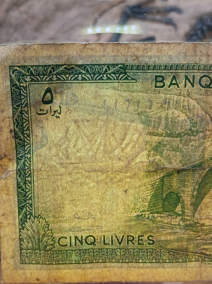 5 Lebanese livers . 1967