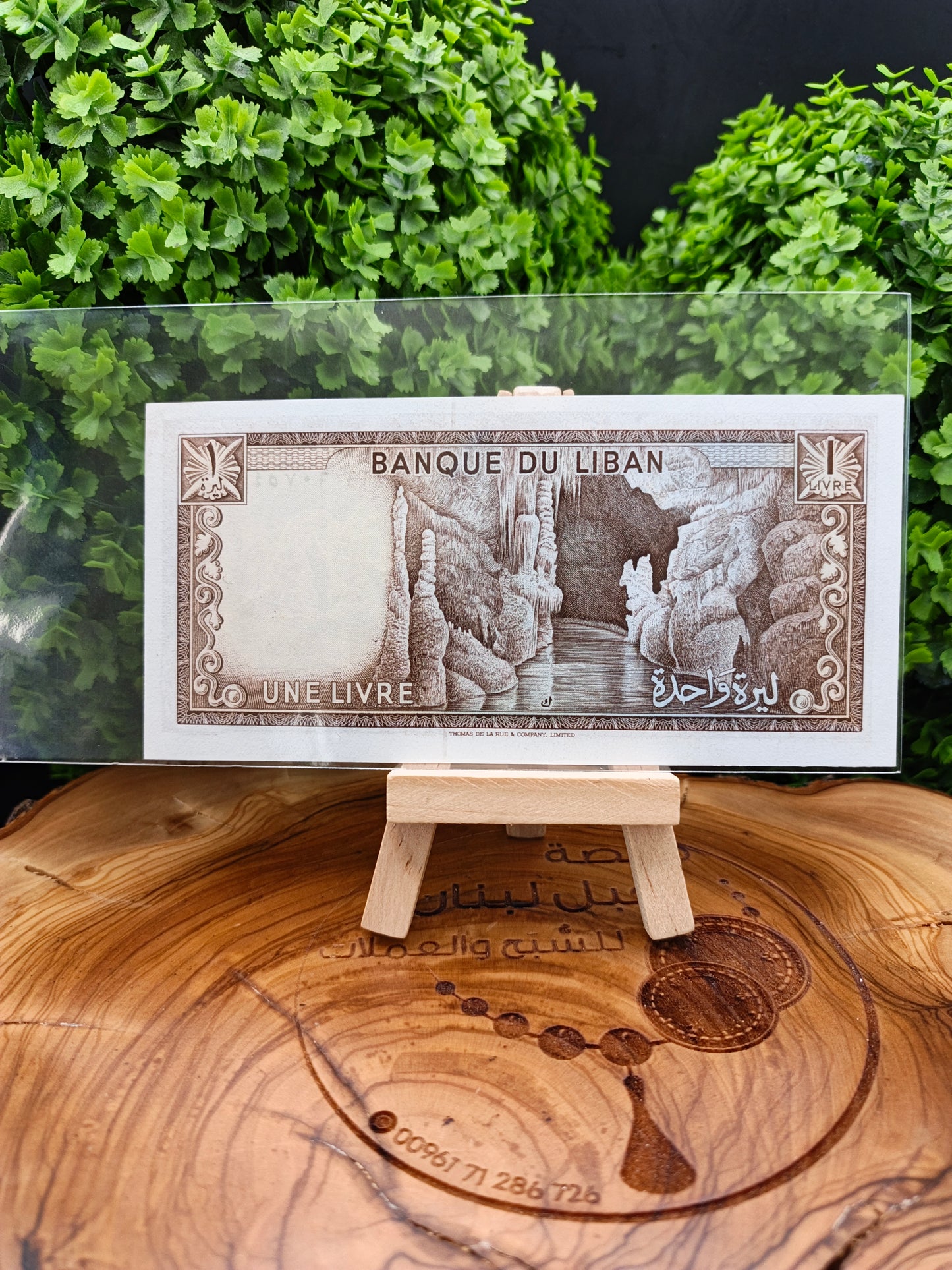 1 lira . lebanon. 1973