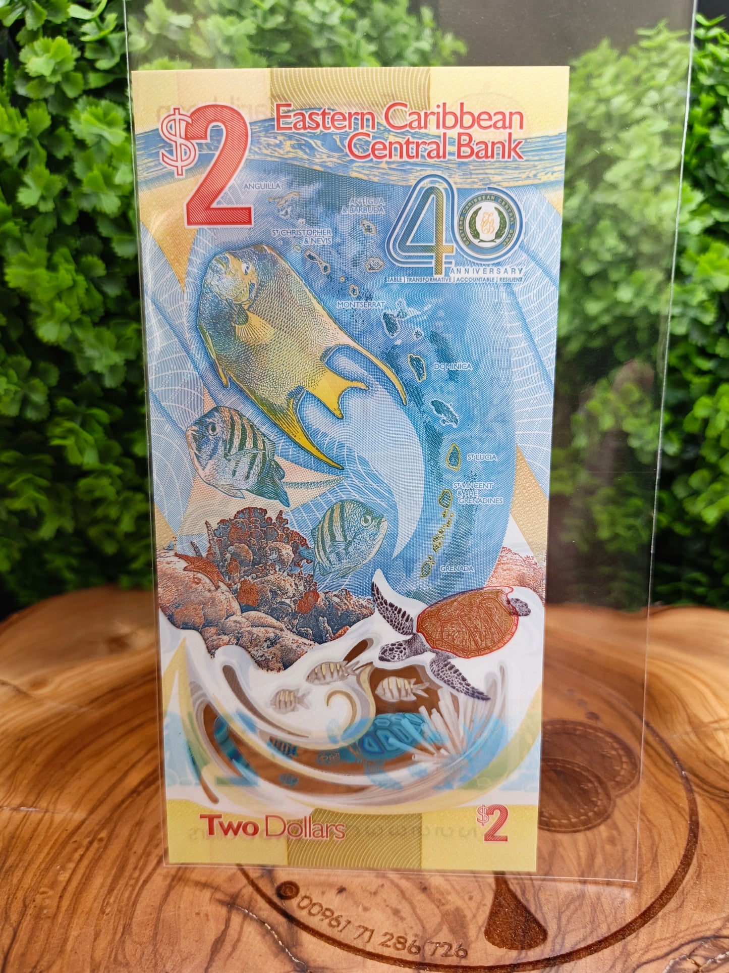 2 dollar eastern Caribbean . 2023