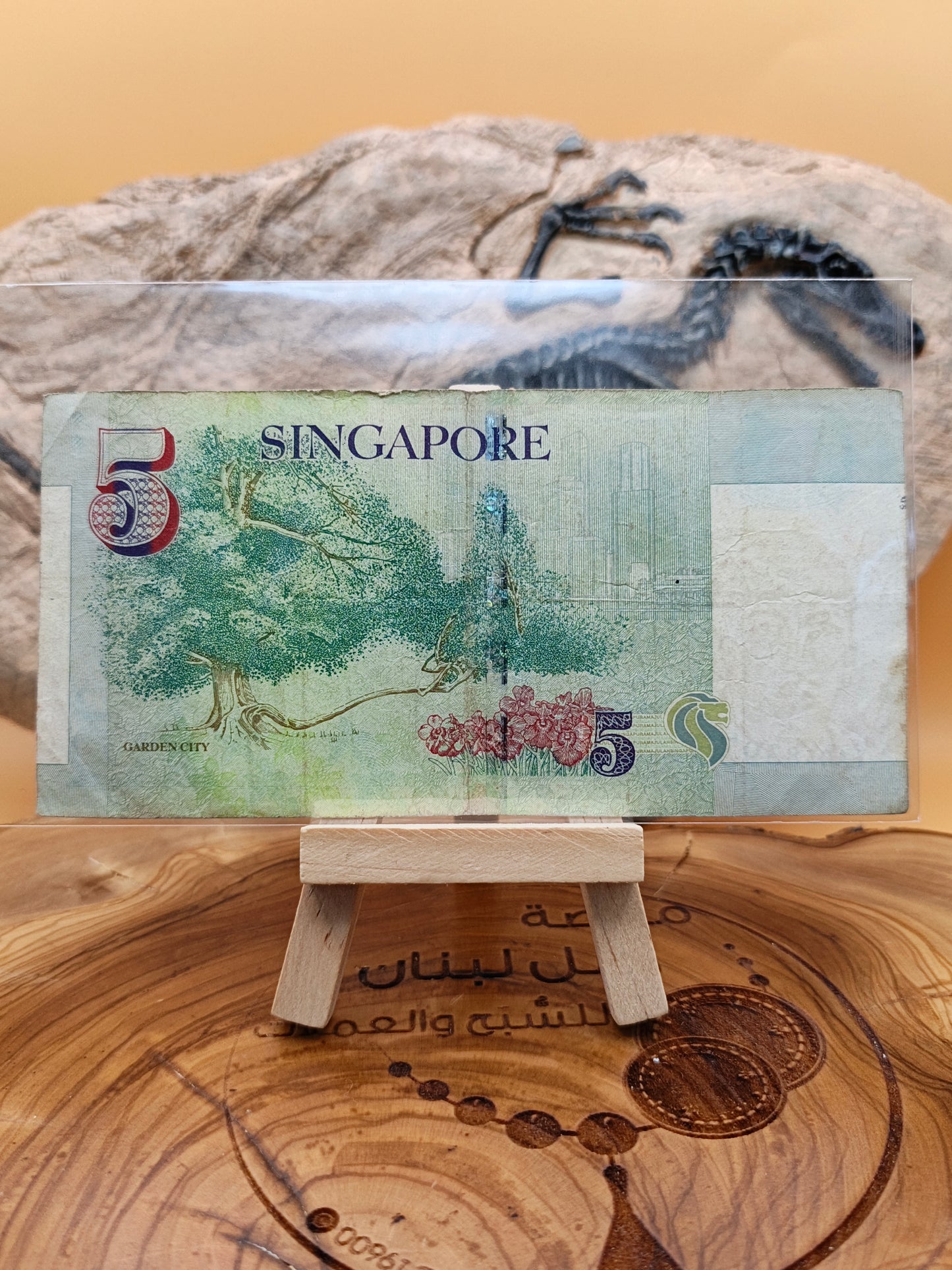5 dollars . Singapore 2007