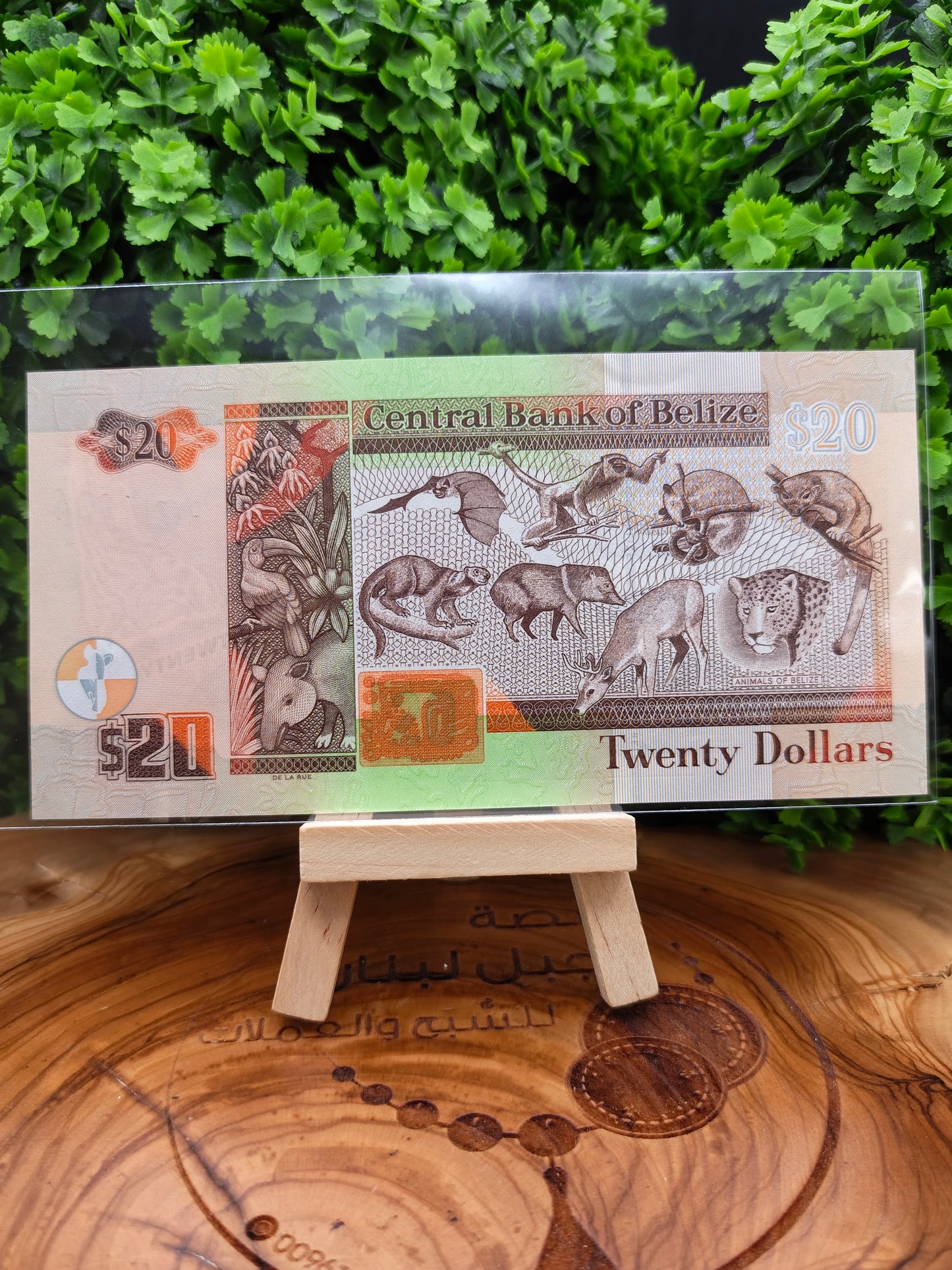20 dollars . Belize . 2020