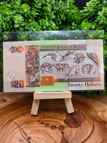 20 dollars . Belize . 2020