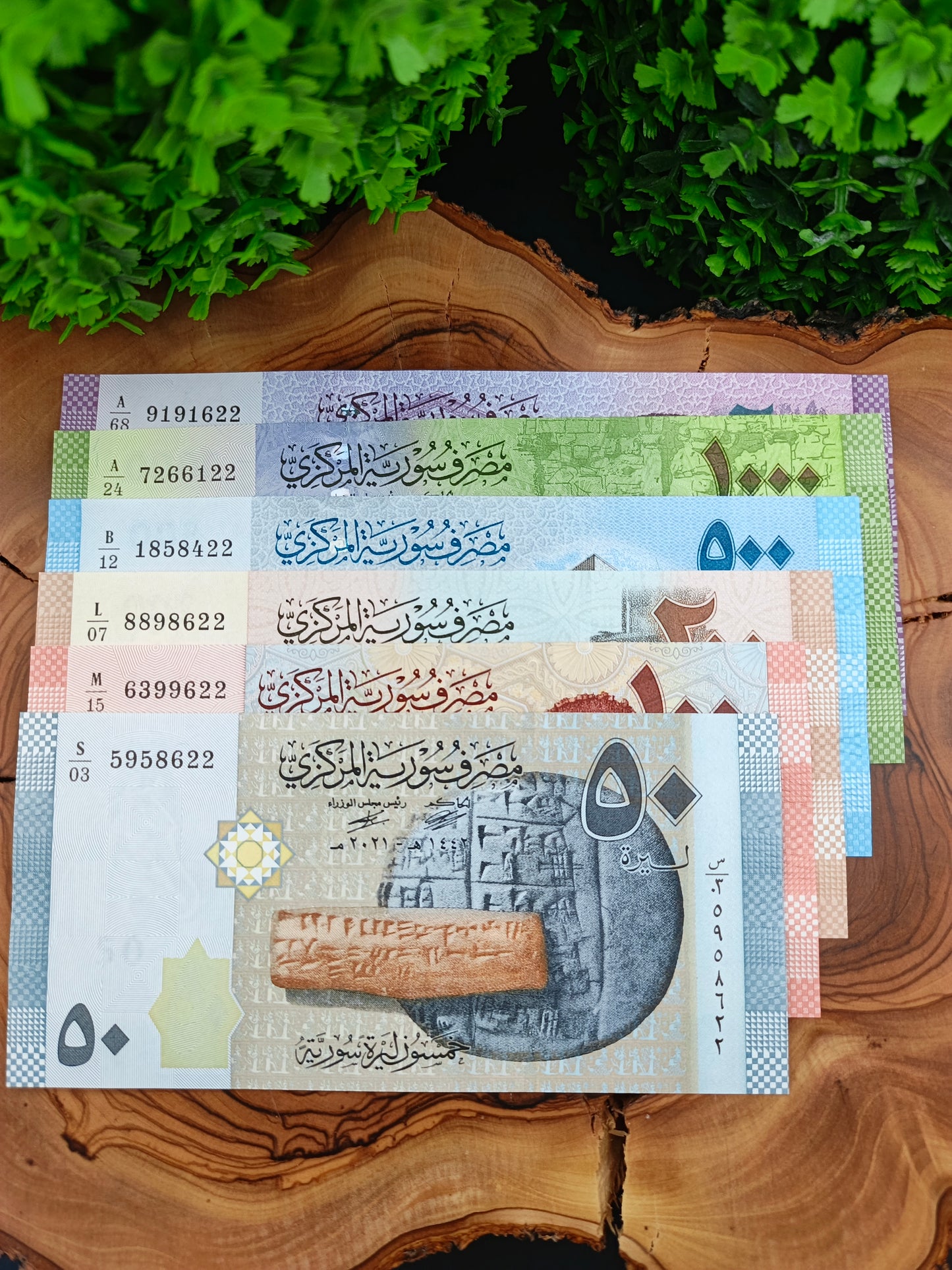 50 - 100 - 200 - 500 - 1000 - 2000 pound . Syria . 2021 ( perfectly matching sequential suffix, with the last two digits of the serial numbers )