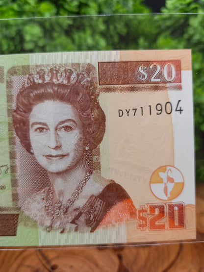 20 dollars . Belize . 2020