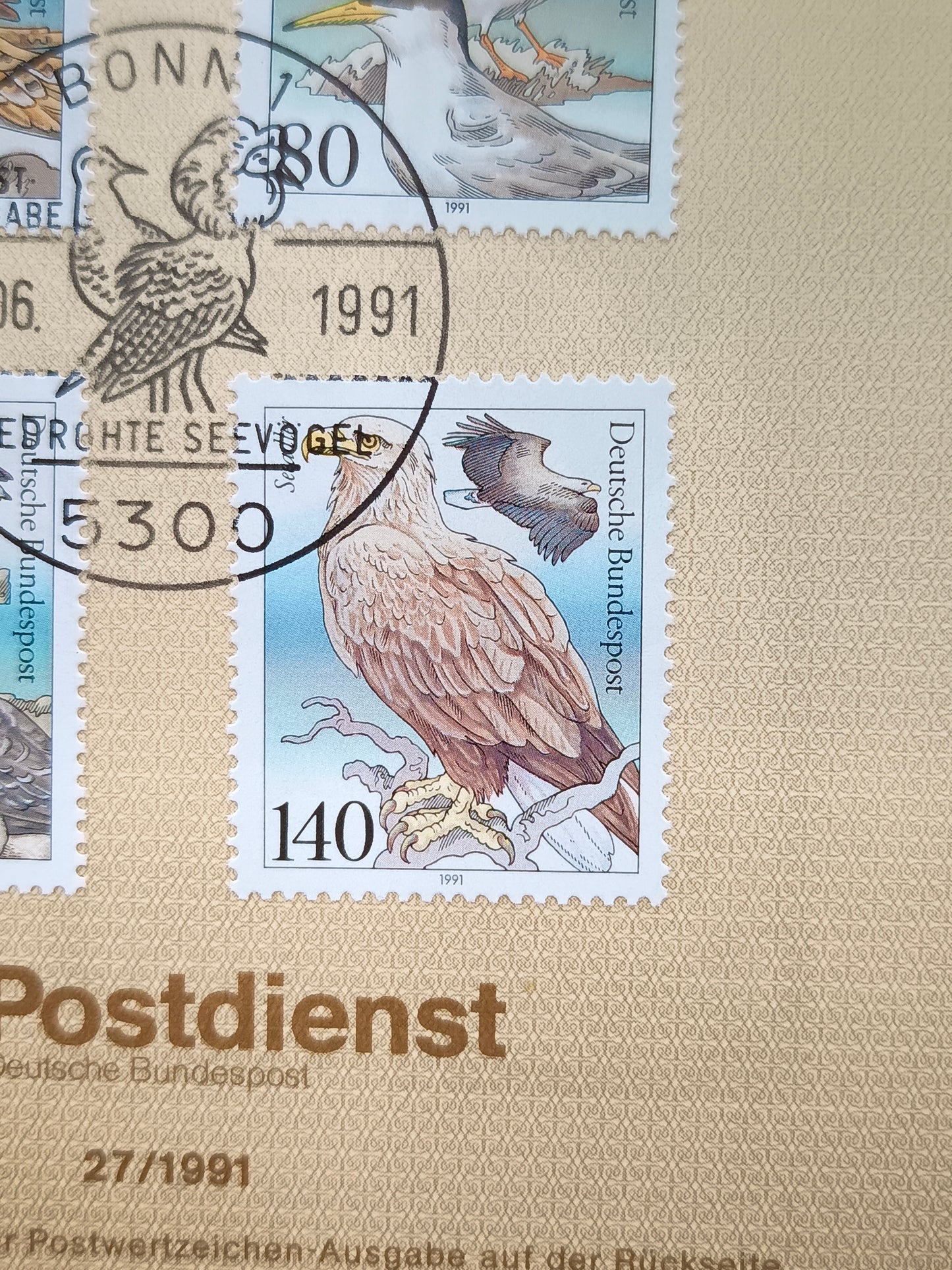 Guardians of the Coast: Threatened Sea Birds