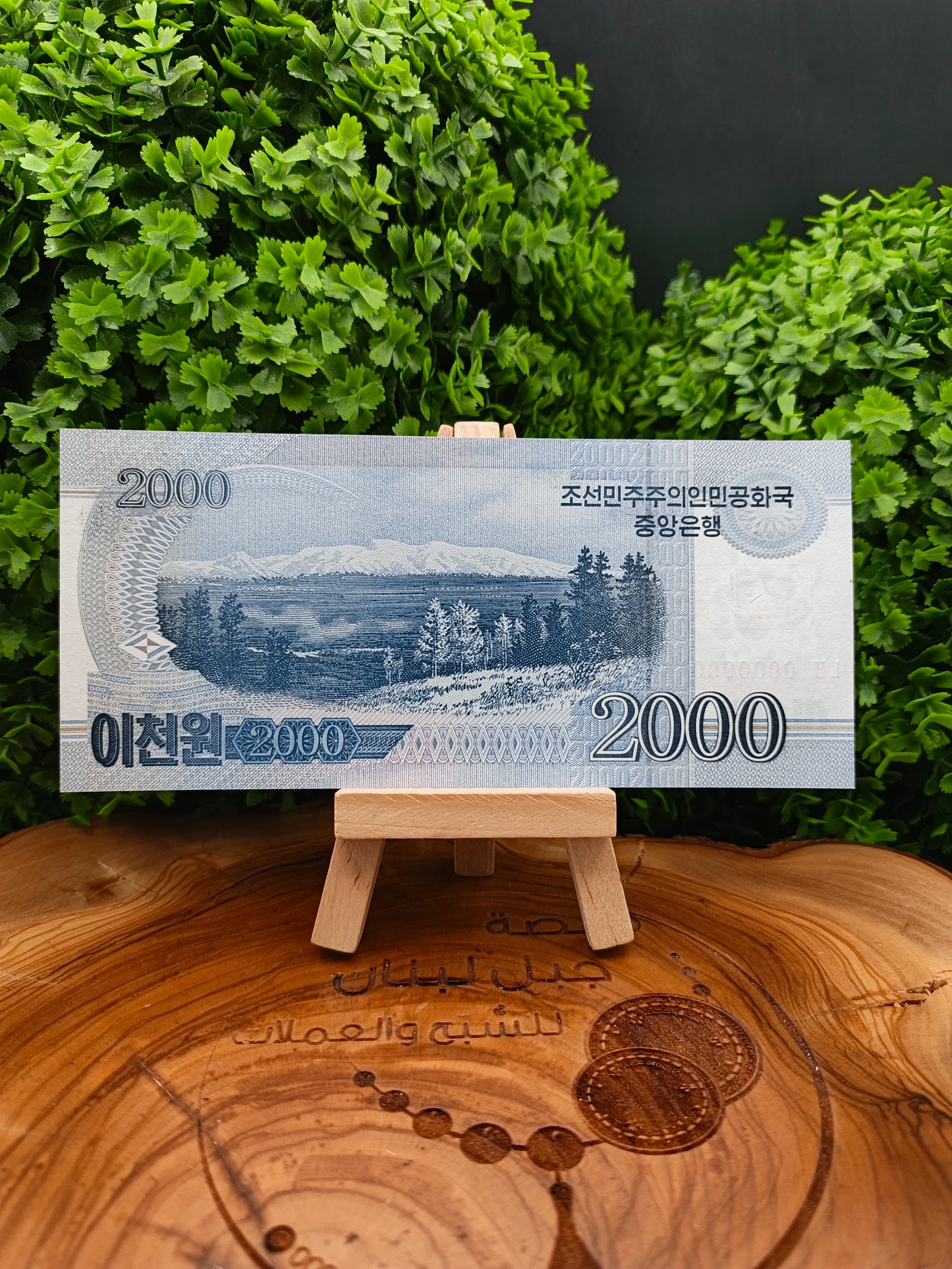 5 - 10 - 50 - 100 - 200 - 500 - 1000 - 2000 - 5000 won . North Korea . (2002_2008)