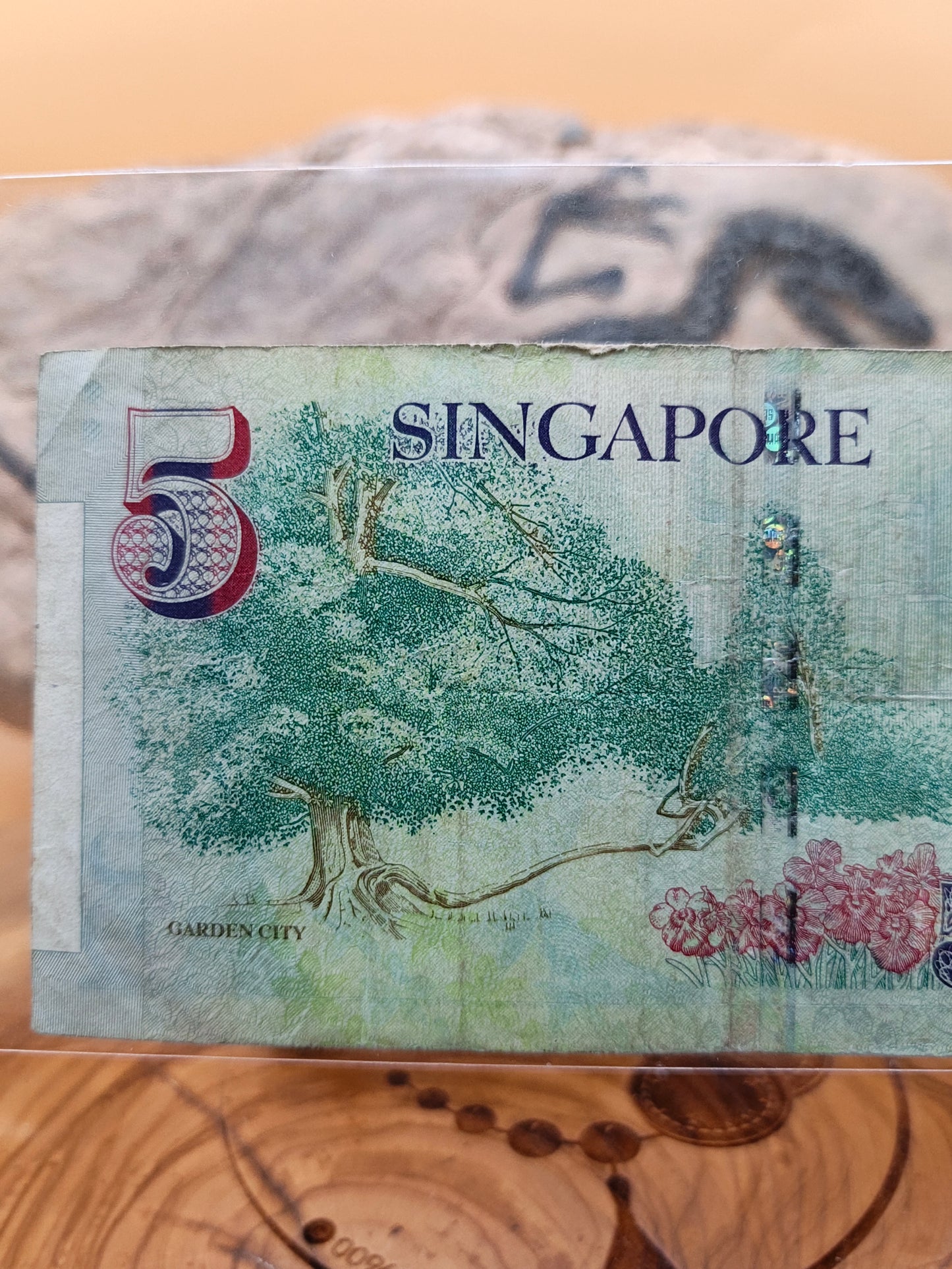 5 dollars . Singapore 2007