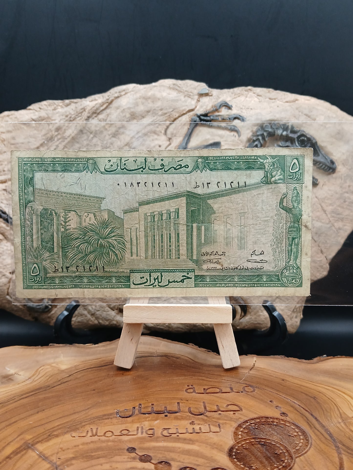 5 Lebanese livers . 1967