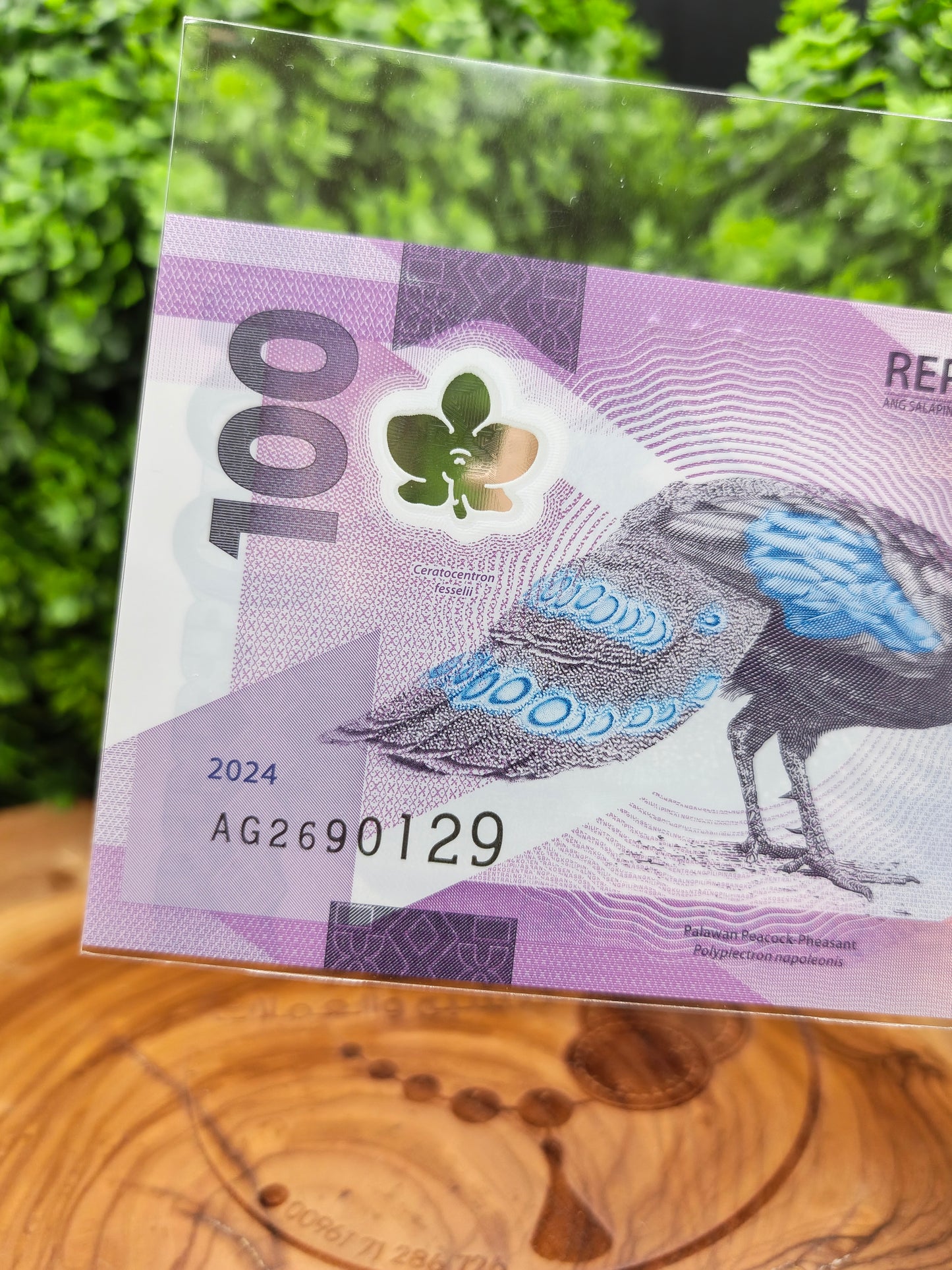 100 piso . Philippines . 2024