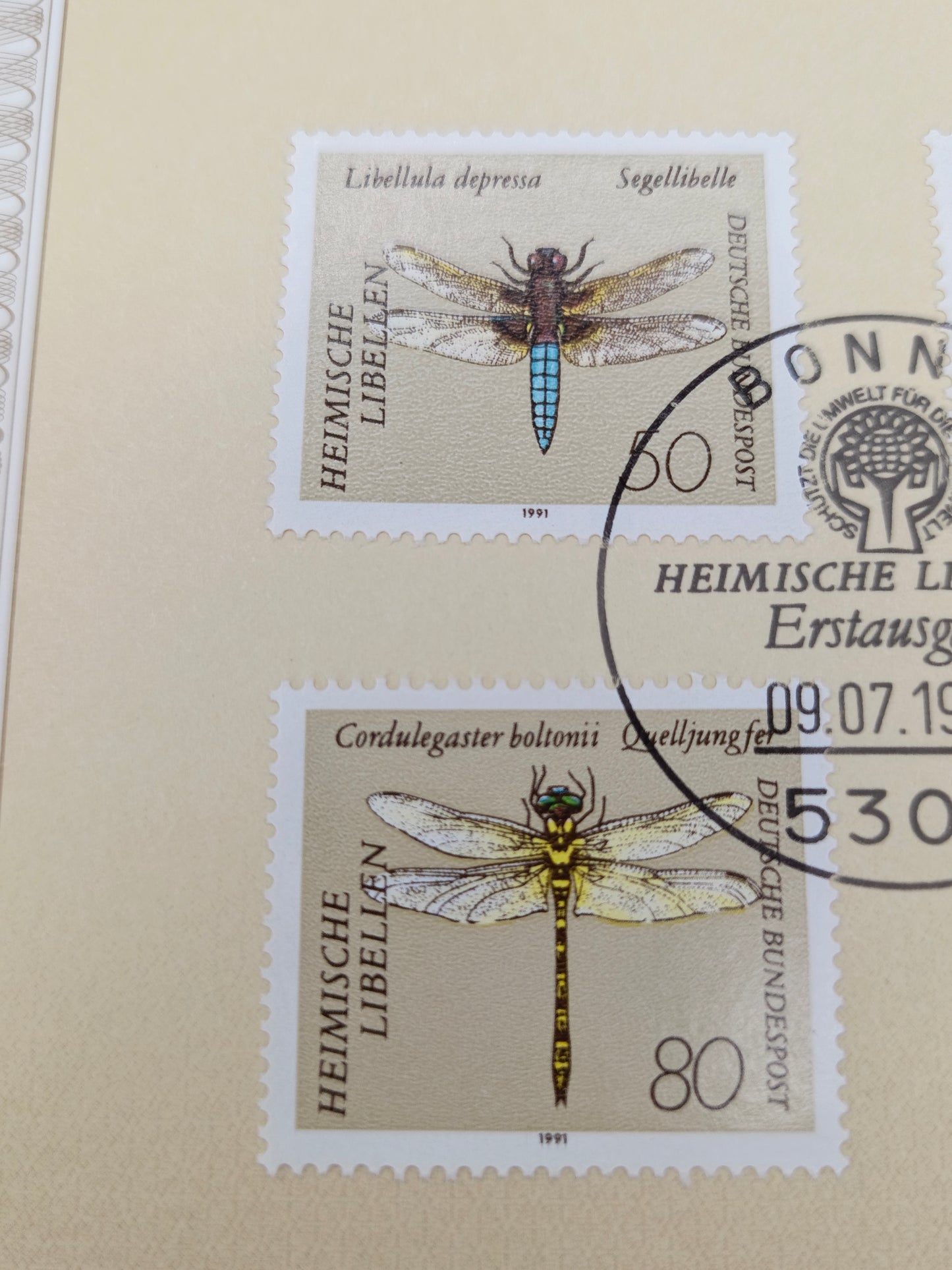 Nature’s Precision: The "Heimische Libellen" Collection
