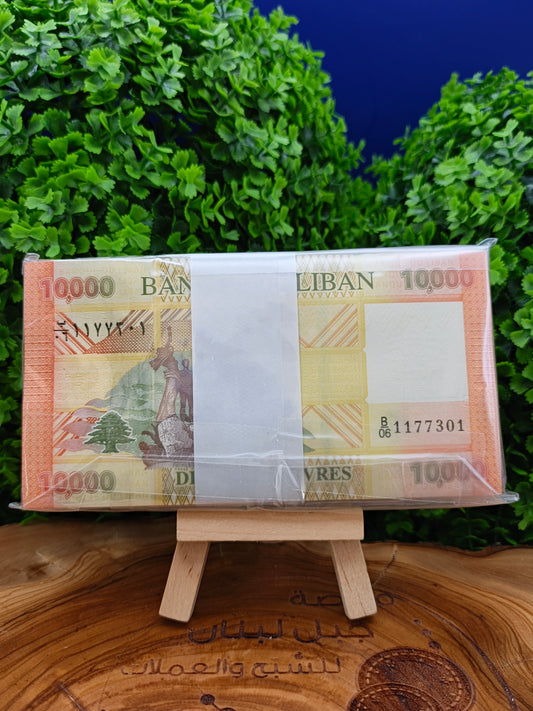 10000 lira bundle. lebanon . 2014